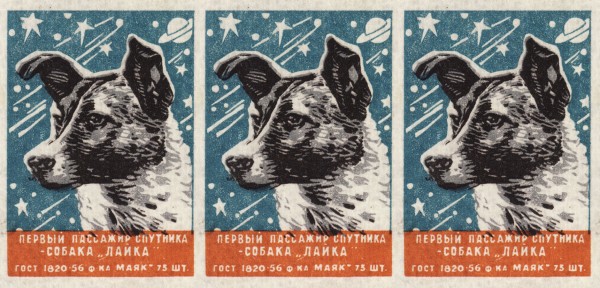 A Soviet matchbox with a heroic Laika, the first dog in space. Caption: "First satellite passenger — the dog, Laika." Want it on a shirt, or a really wonderful mug? 